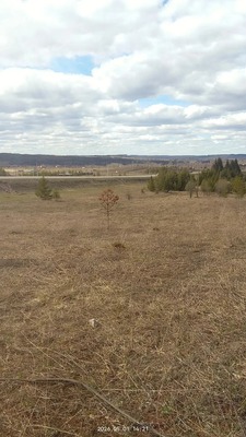 Объект по адресу Москва, Сосновая ул 