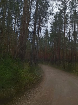 Объект по адресу Москва, Молодежное тер. СНТ, 55 