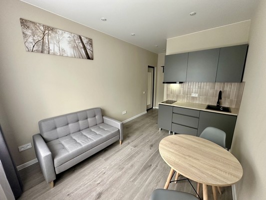 Фото квартиры по адресу Санкт-Петербург, Лесной пр-кт, 37Дк4 