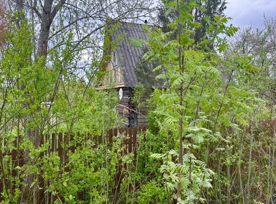 Объект по адресу Москва, ЛОС тер. СНТ, 245 