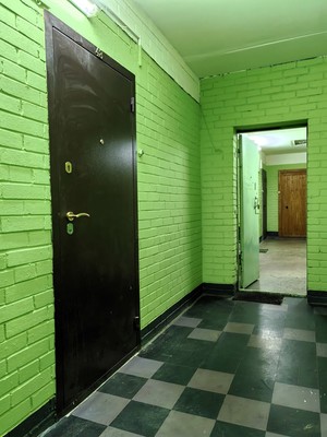 Фото квартиры по адресу Санкт-Петербург, Ветеранов пр-кт, 144-21 