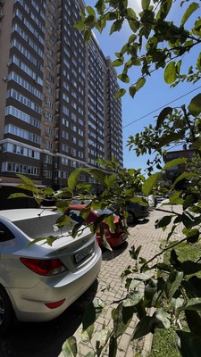 Фото квартиры по адресу Москва, им. Айвазовского ул, 116к1 
