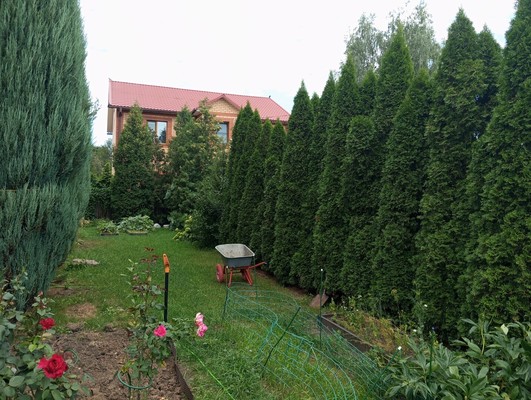 Объект по адресу Москва, Первый пер, 16 