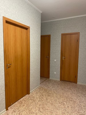 Фото квартиры по адресу Ленинградская обл, Всеволожский р-н, Новое Девяткино д, Арсенальная ул, д. 1