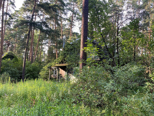 Объект по адресу Москва, Буденного ул, 7 