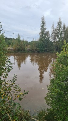 Объект по адресу Ленинградская обл, Мира ул