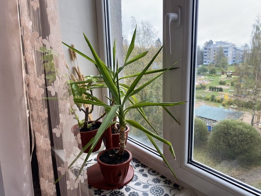 Фото квартиры по адресу Москва, Агалатовское ш, 142 