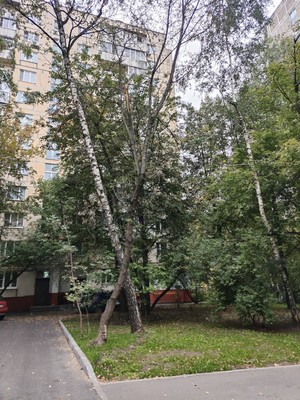 Фото квартиры по адресу Москва, Парковая 3-я ул, 25 