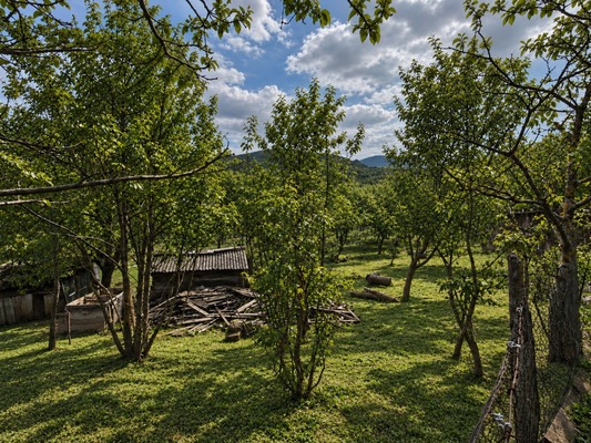 Объект по адресу Краснодарский, Центральная ул, 6 