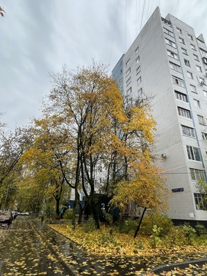 Фото квартиры по адресу Московская, Олимпийский пр-кт, 26к4 