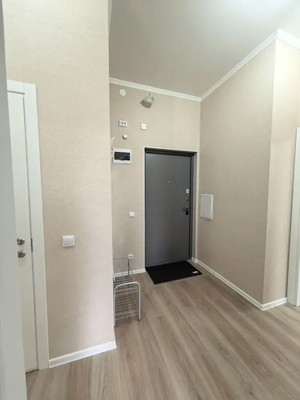 Объект по адресу Санкт-Петербург, Мира ул, 6к5 