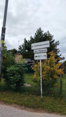 Объект по адресу Московская, Боборыкино д 
