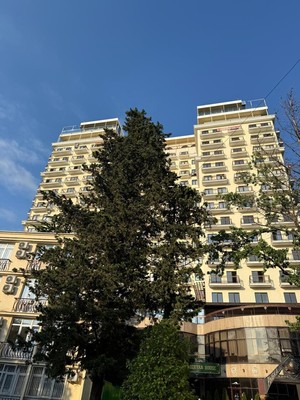 Объект по адресу Краснодарский край, Адлерский р-н, Ленина ул, д. 219/6Б