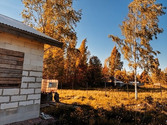 Объект по адресу Ленинградская, 1-я ул, 5 