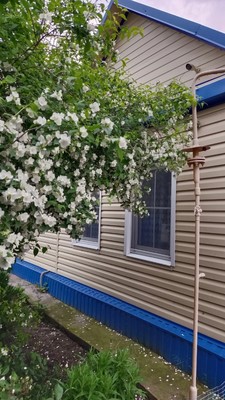 Объект по адресу Краснодарский, Краснодарская ул, 73 