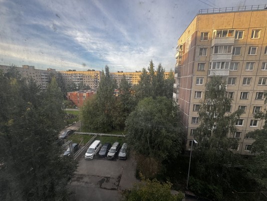 Фото квартиры по адресу Санкт-Петербург, Полевая ул, 23А 