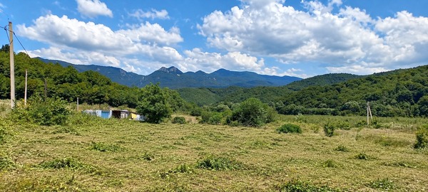 Объект по адресу Краснодарский, Георгиевское с, 16 