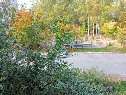 Объект по адресу Московская, Щорса ул, 1а 