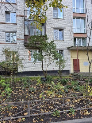 Фото квартиры по адресу Санкт-Петербург, Ветеранов пр-кт, 88 