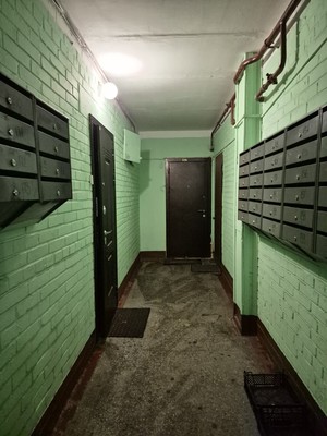 Фото квартиры по адресу Санкт-Петербург, Ветеранов пр-кт, 88 