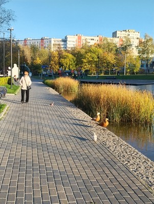 Объект по адресу Москва, Профсоюзная ул, 93к4 