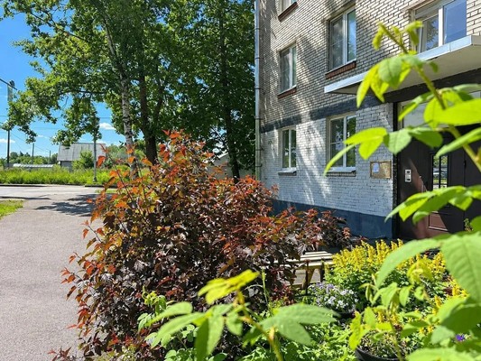 Фото квартиры по адресу Санкт-Петербург, Дашкевича ул, 11а/9А 