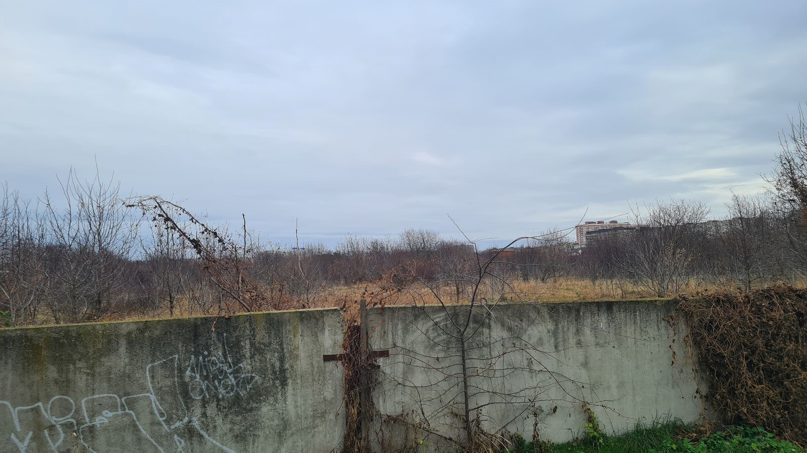 Объект по адресу Москва, Звёздная, 1 