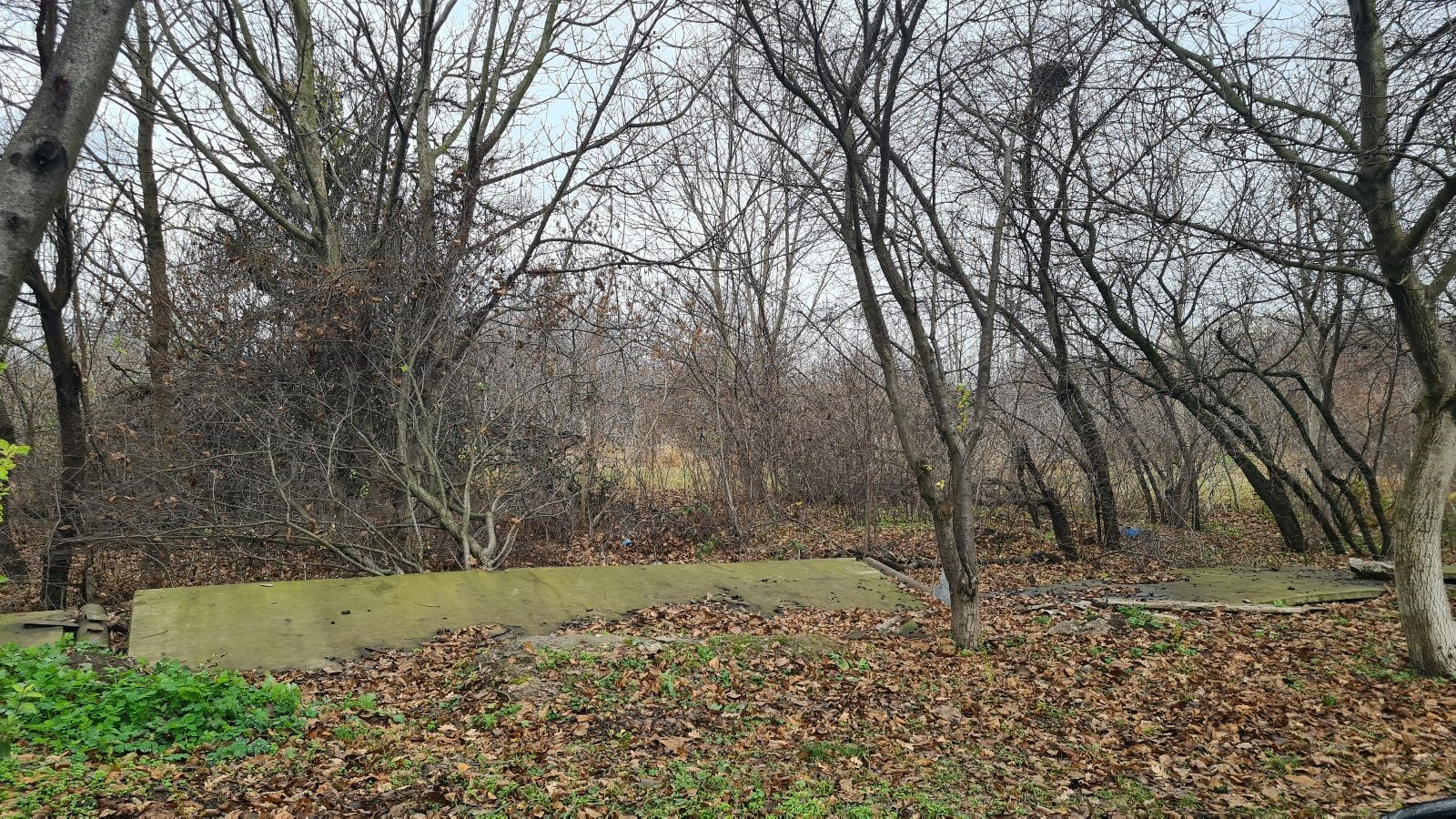 Объект по адресу Москва, Звёздная, 1 