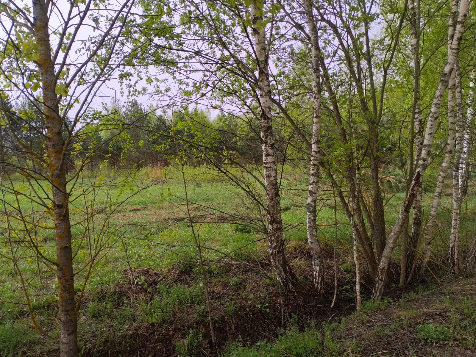 Объект по адресу Москва 