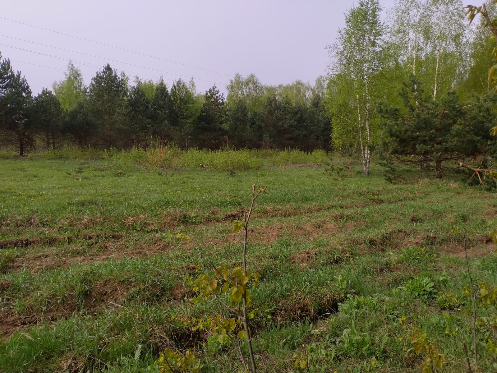 Объект по адресу Москва 