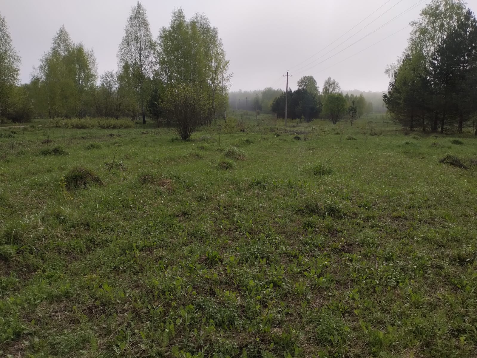 Объект по адресу Москва 