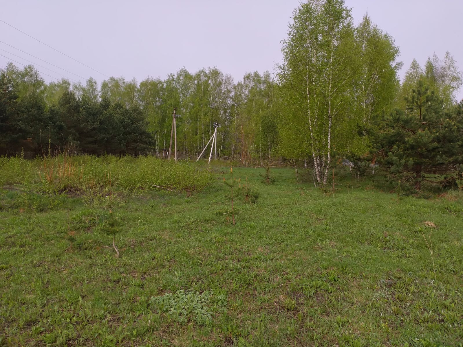 Объект по адресу Москва 