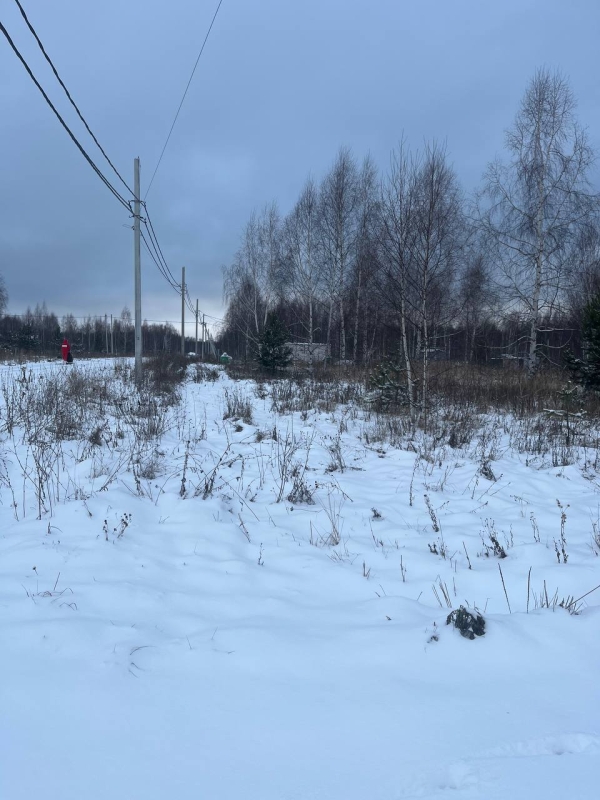 Объект по адресу Нижегородская обл, Богородский р-н, Килелей д, 1-я Брусничная ул