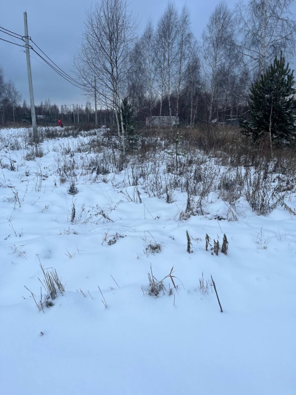 Объект по адресу Нижегородская обл, Богородский р-н, Килелей д, 1-я Брусничная ул