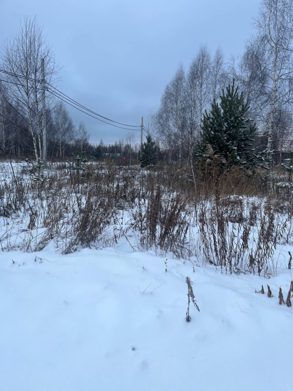 Объект по адресу Нижегородская обл, Богородский р-н, Килелей д, 1-я Брусничная ул