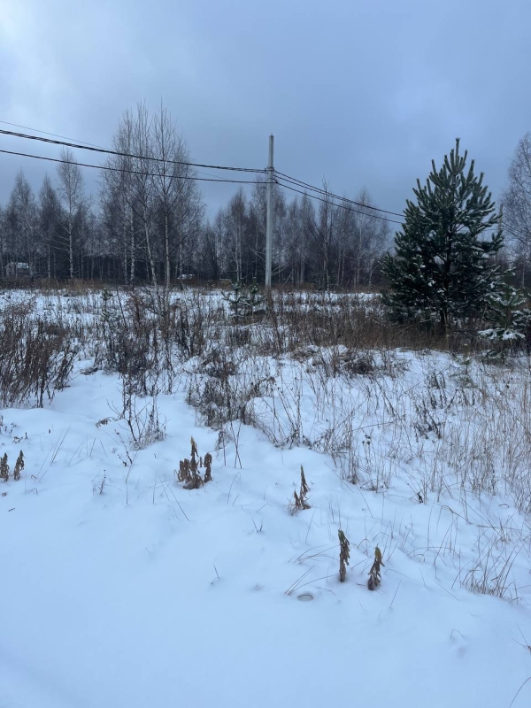 Объект по адресу Нижегородская обл, Богородский р-н, Килелей д, 1-я Брусничная ул