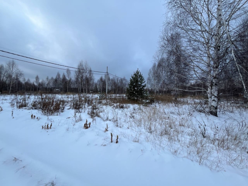 Объект по адресу Нижегородская обл, Богородский р-н, Килелей д, 1-я Брусничная ул