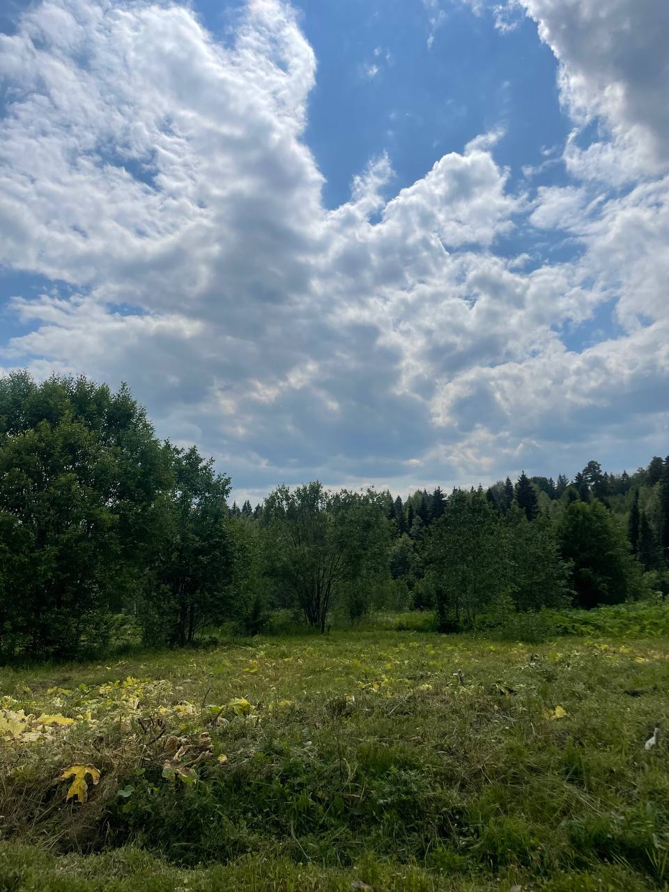 Объект по адресу Москва 