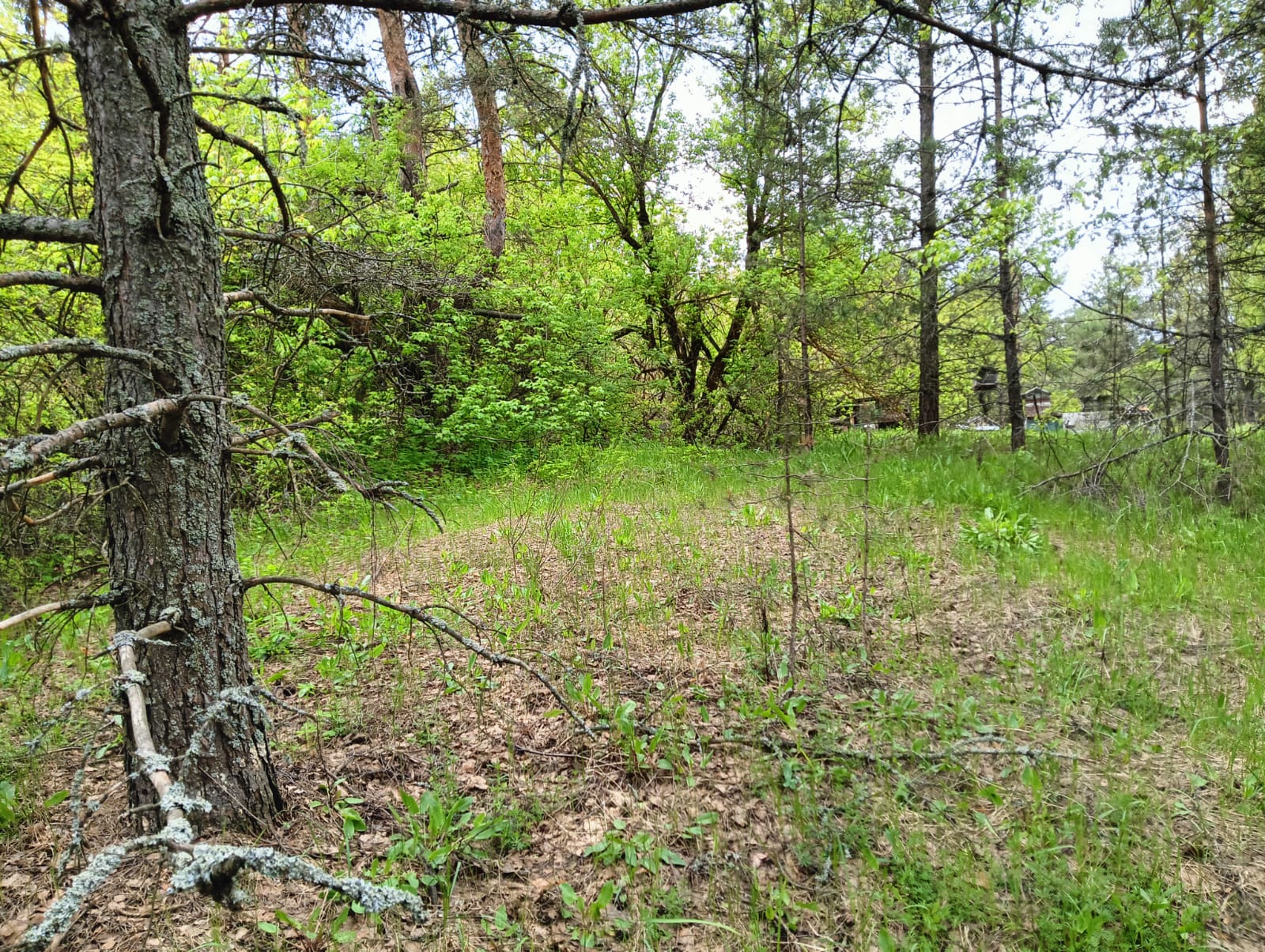 Объект по адресу Московская обл, Радовицы с, Сосновая ул, д. 20