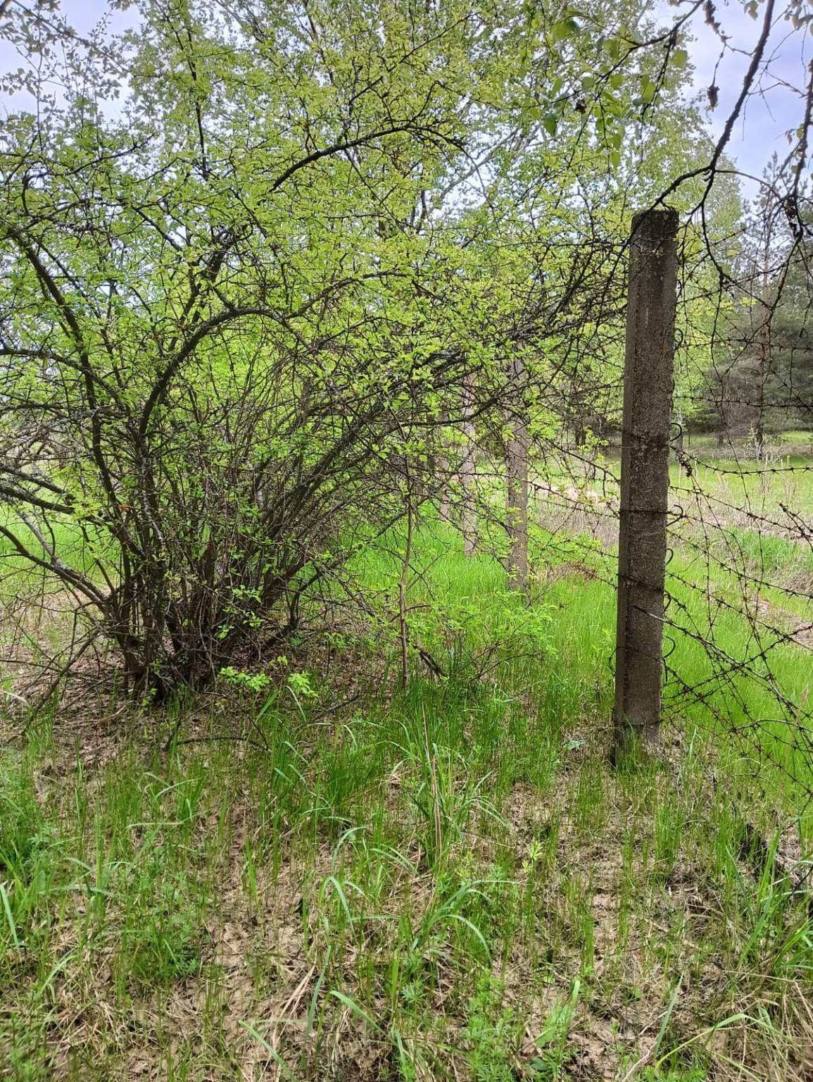 Объект по адресу Московская обл, Радовицы с, Сосновая ул, д. 20