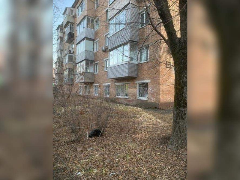 Объект по адресу Москва, Русская улица, д.60 