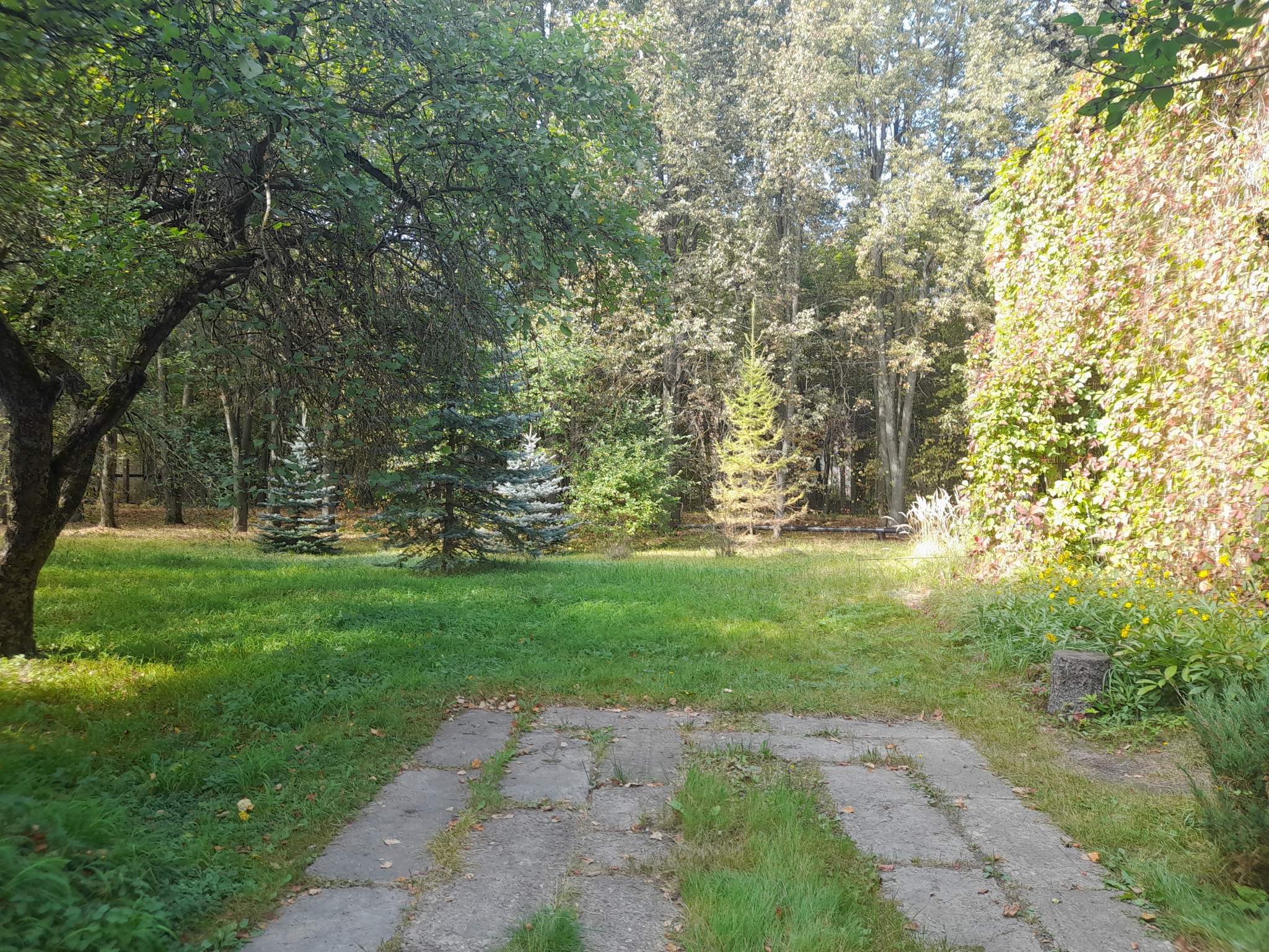 Объект по адресу Москва, 2-я Боршева улица, д.50 