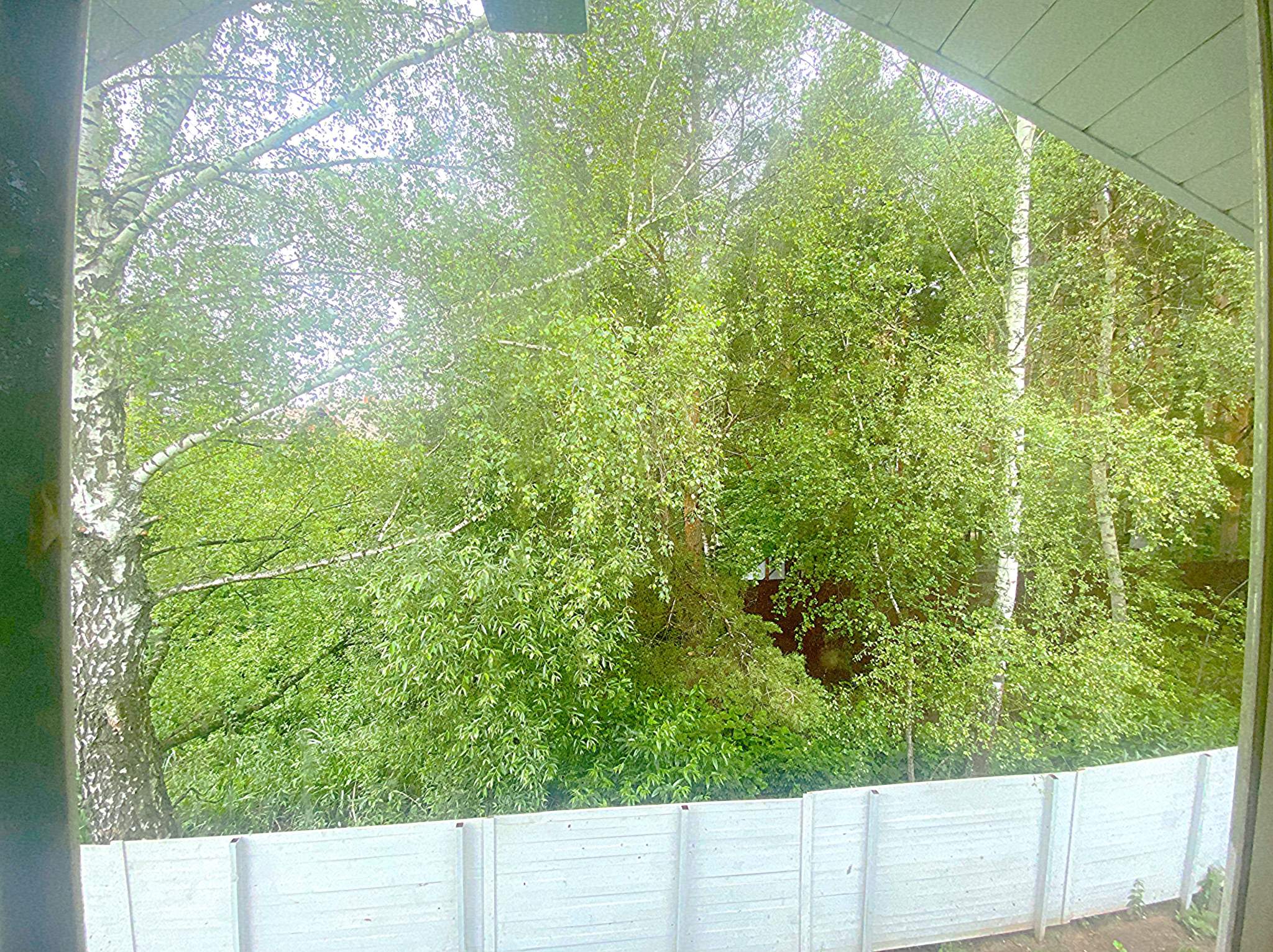Объект по адресу Москва, Лесная улица, д.3 