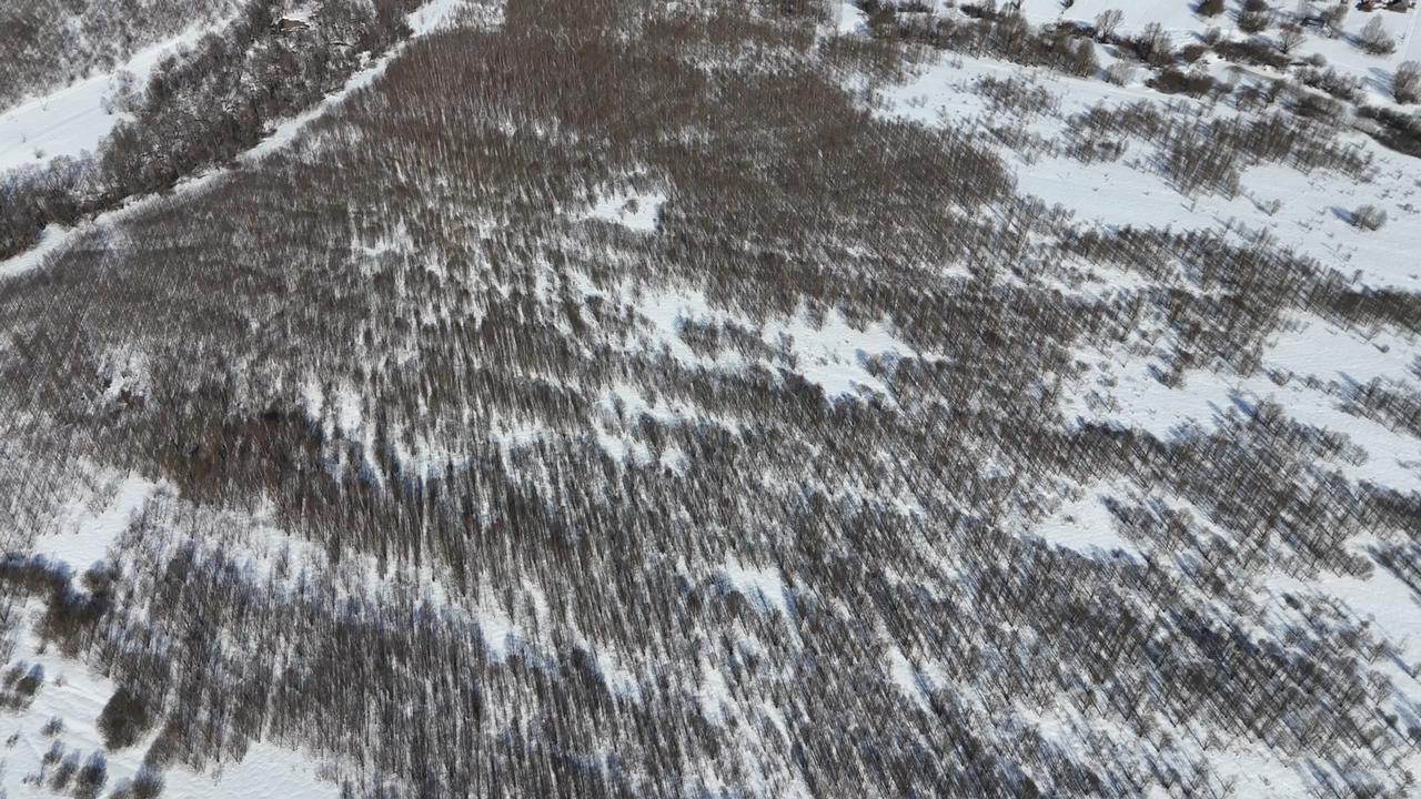 Объект по адресу Москва 