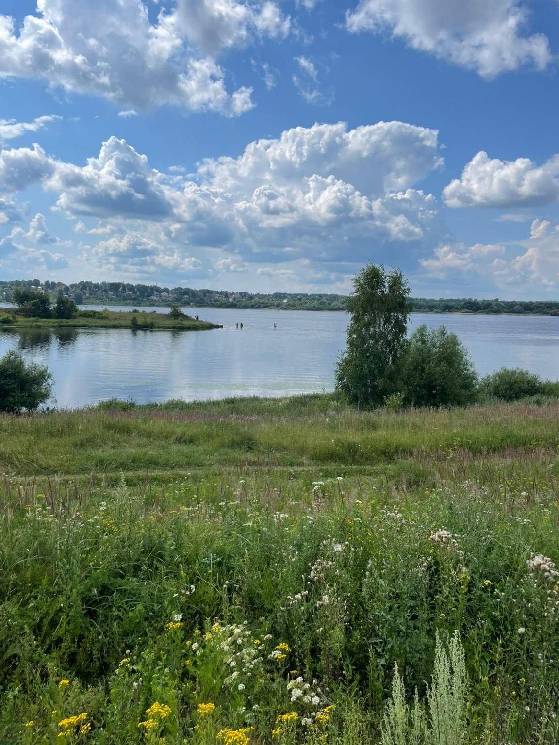 Объект по адресу Москва, Волгостроевская набережная 