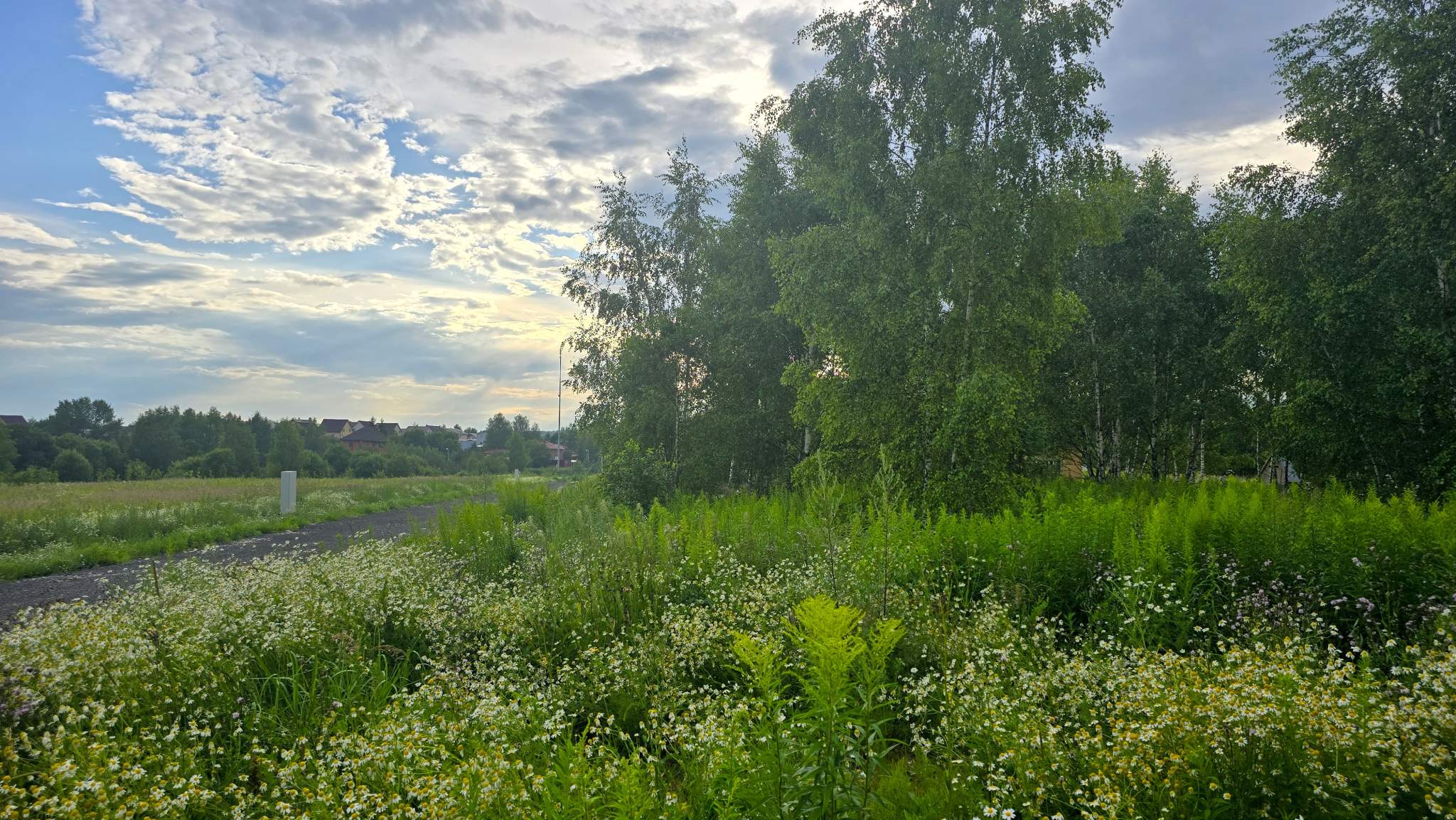 Объект по адресу Москва, Луговая ул. 
