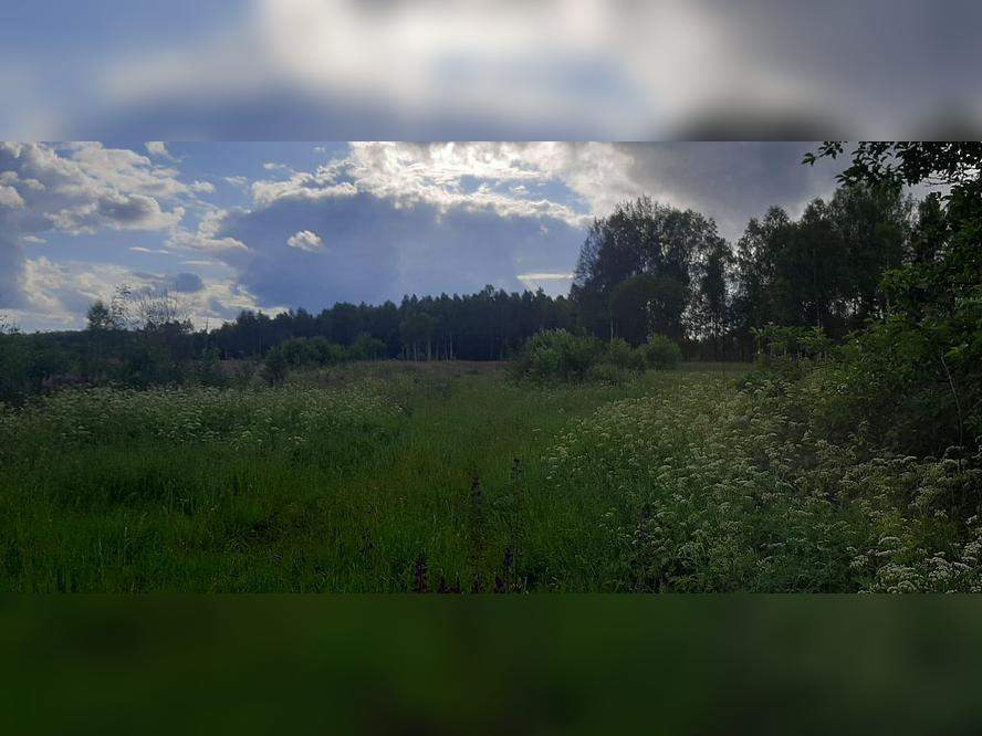 Объект по адресу Москва 