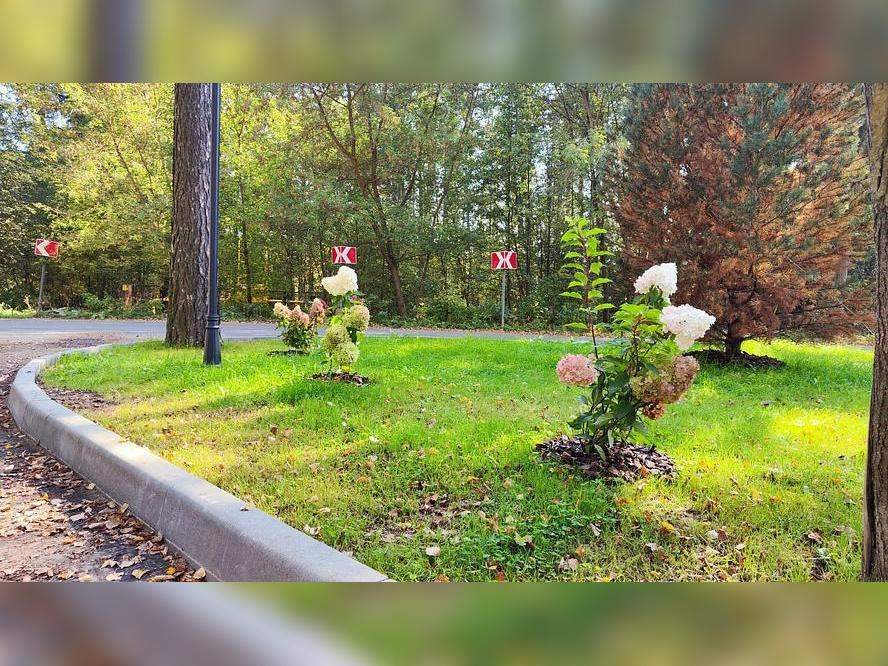 Объект по адресу Москва, Сосновый переулок 