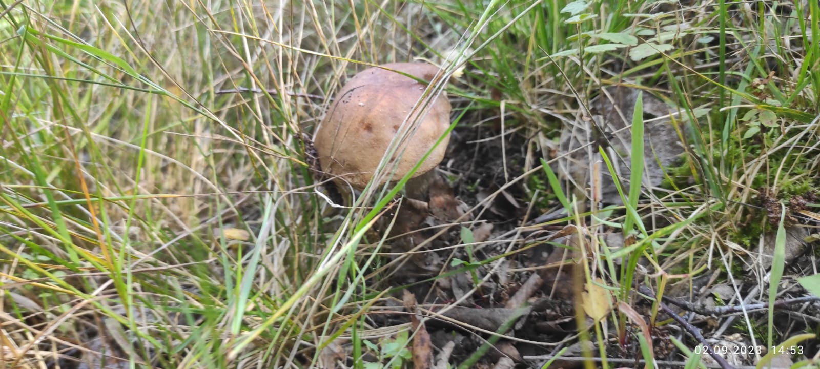 Объект по адресу Москва, Береговая улица 