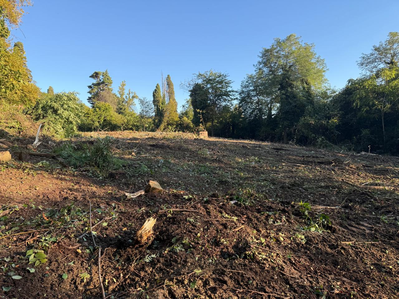 Объект по адресу Москва, Культурная ул. 